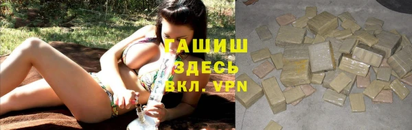 прущие грибы Верхний Тагил