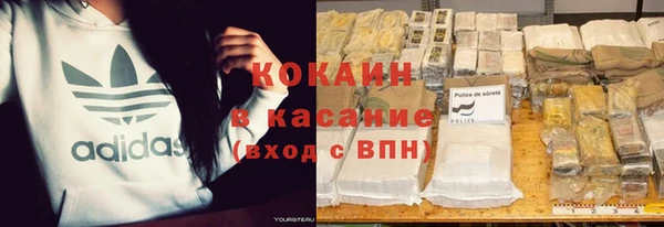 прущие грибы Верхний Тагил