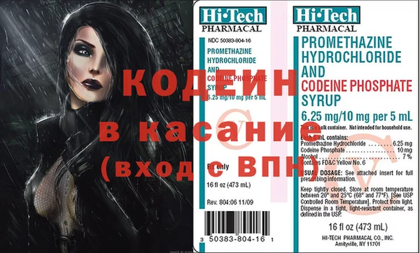 прущие грибы Верхний Тагил