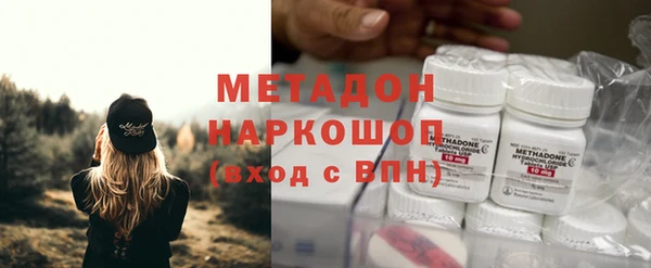 прущие грибы Верхний Тагил