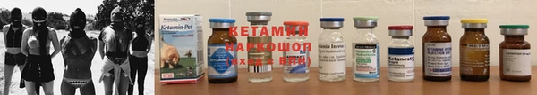 прущие грибы Верхний Тагил