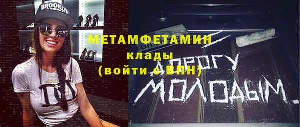 прущие грибы Верхний Тагил