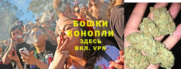 прущие грибы Верхний Тагил