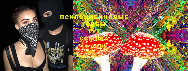 прущие грибы Верхний Тагил