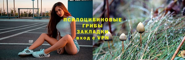 прущие грибы Верхний Тагил