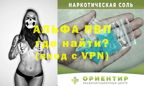 прущие грибы Верхний Тагил