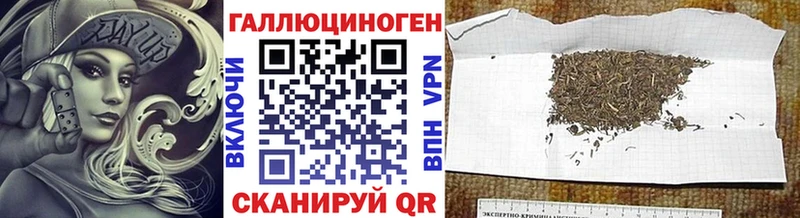 Галлюциногенные грибы Psilocybe  как найти   Клин 